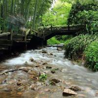 奇怪的帽子读后感汇编