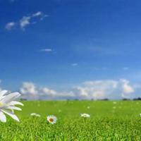 四年级下册蜗牛的读后感锦集