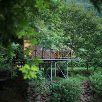 白马湖100字读后感汇聚