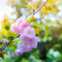 李白将进酒读后感合集