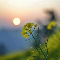 满满的自信读后感合计