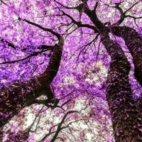 不懂得带团队读后感汇编