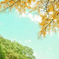 月光的读后感200合计