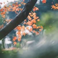 亲子关系读后感六年级汇聚