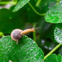 彩蛋解毒系列读后感集锦