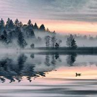 优秀读书笔记东霓读后感精练