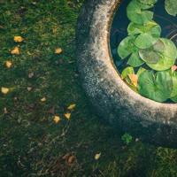 读乡下人家读后感50字精练