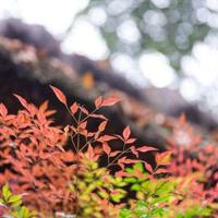 开学第一天读后感简单字少汇总