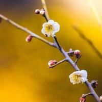 水浒传读后感小报锦集