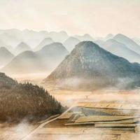 九年级下册枣读后感选录