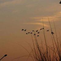 母亲的力量读后感精选