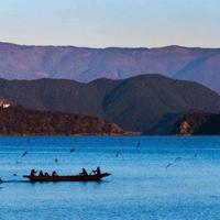 神奇的警犬读后感提纲精选