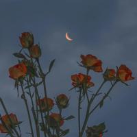 二七纪念馆观后感汇合