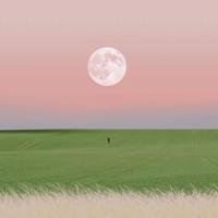 幼儿园小班读后感集锦