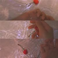 板凳狗读后感250字摘录