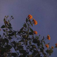 空杯心态读后感图精练