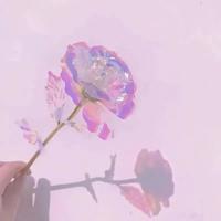 绘本我很听话读后感汇聚