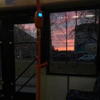 德育馆观后感300字汇合