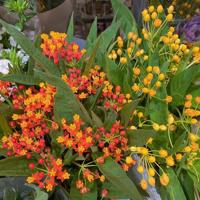 历史朝鲜战争的读后感聚集