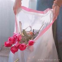 独角斗牛这一本书的读后感选录