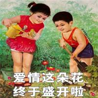 饭局也疯狂观后感450字汇集