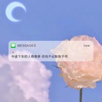 飞向天空港湾读后感选录