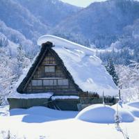 新河之窗观后感100字集锦