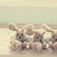 民法典进校园观后感200选录