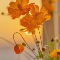 别去问值不值得读后感汇合