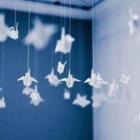 全国足球赛赛赛赛赛观后感锦集