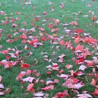 谭寿林事迹观后感汇聚