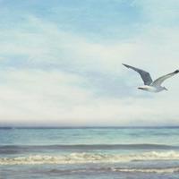 网购刷单被骗观后感汇总