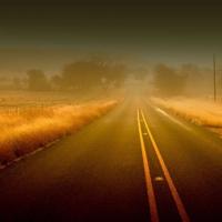 摄影师电影观后感摘录