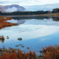 四十自述章节一读后感合计