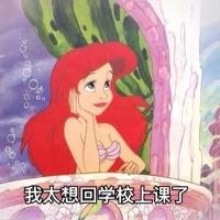 校友返回学校观后感精选