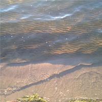 我是机器人观后感摘录