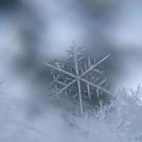 《今日说法》观后感汇集