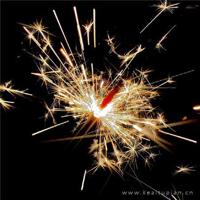 玩着玩着春天来了的读后感总汇