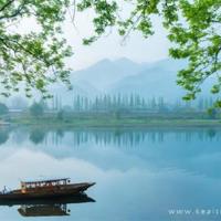 观后感少年班500字聚集