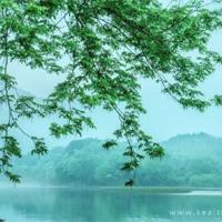 开山劈地电影观后感收集