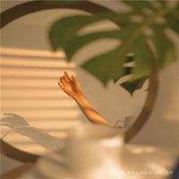 蚁国英雄短文读后感精练