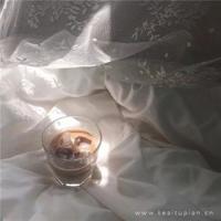 高中生的读后感600字汇合