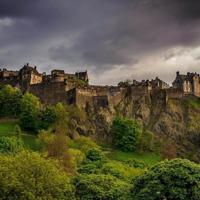 羚羊跪拜的读后感精选