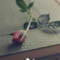 创新思维的方法读后感集合