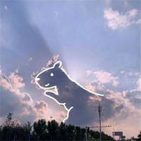 念书的孩子2观后感600精练