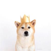 防控知识讲座读后感200汇总