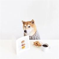 斗罗大陆观后感五百字聚集