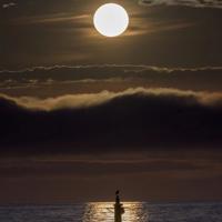 得道多助失道寡助读后感精选