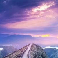 晚清李鸿章读后感汇聚