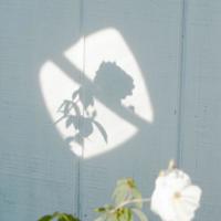 学哲学用哲学读后感精选